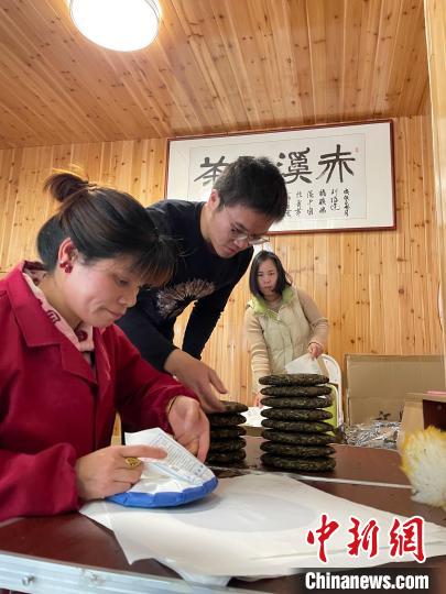 資料圖：杜贏(左二)在整理白茶餅?！×执阂?攝